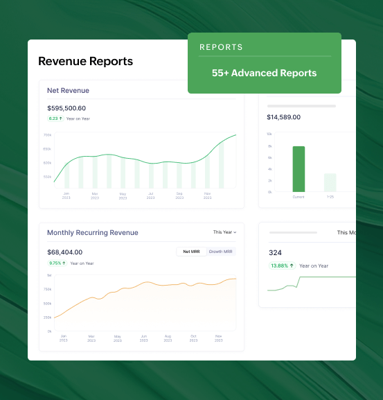 Get access to 55+ business analytics | Zoho Billing
