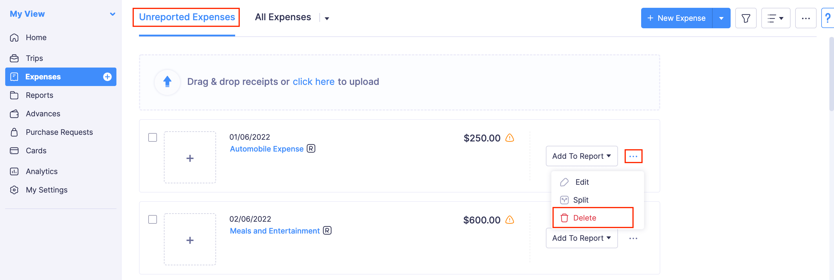 Delete Expenses